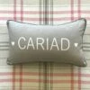 Cariad Cushion Grey -GIFTS WITH HEART Sales CARIAD CUSHION