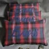 Welsh Tartan Cushion Evans -GIFTS WITH HEART Sales IMG 2068