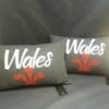 Prince Of Wales Feathers Cushion Grey -GIFTS WITH HEART Sales IMG 2075