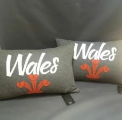 Prince Of Wales Feathers Cushion Grey