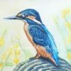 Kingfisher Painting