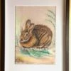 Hare Pastel Art Picture In Frame -GIFTS WITH HEART Sales Rabbit soft pastel in frame