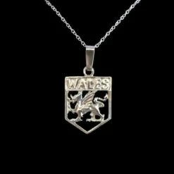 Welsh Dragon Shield Necklace
