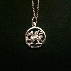 Dragon Necklace Silver