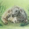 Original Welsh Lamb Pastel Picture -GIFTS WITH HEART Sales welsh sheep lamb painitng