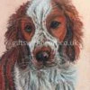Welsh Terrier Dog Pastel Painting -GIFTS WITH HEART Sales welsh terrier pastel picture 1